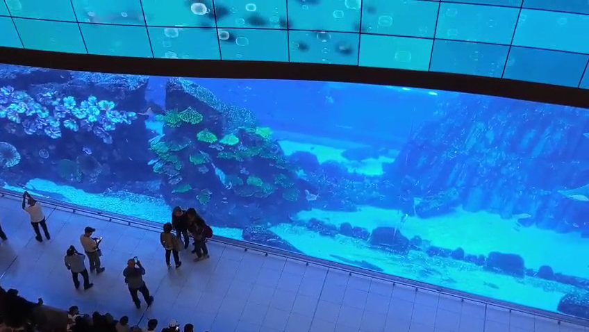 The aquarium at the Dubai Mall